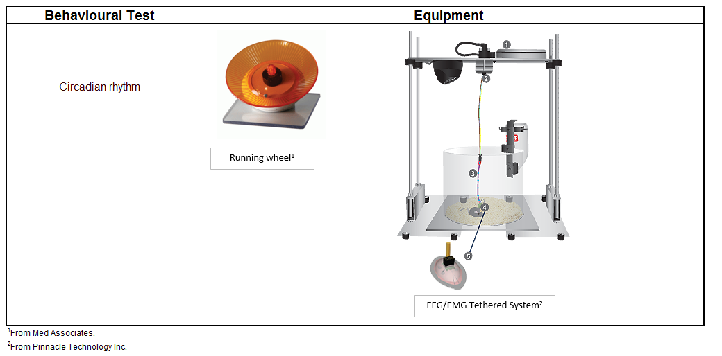 Running wheel